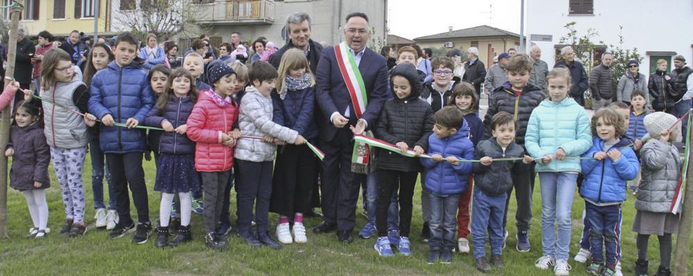 Frutteto di antiche varietà di Alberi di Frutto