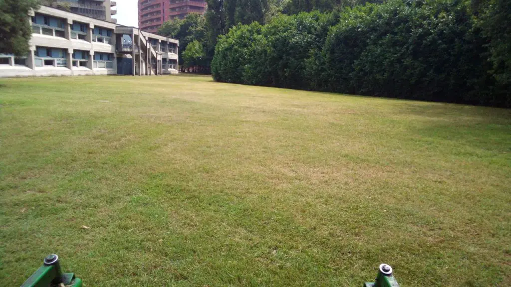 Manutenzione prato giardino di una scuola